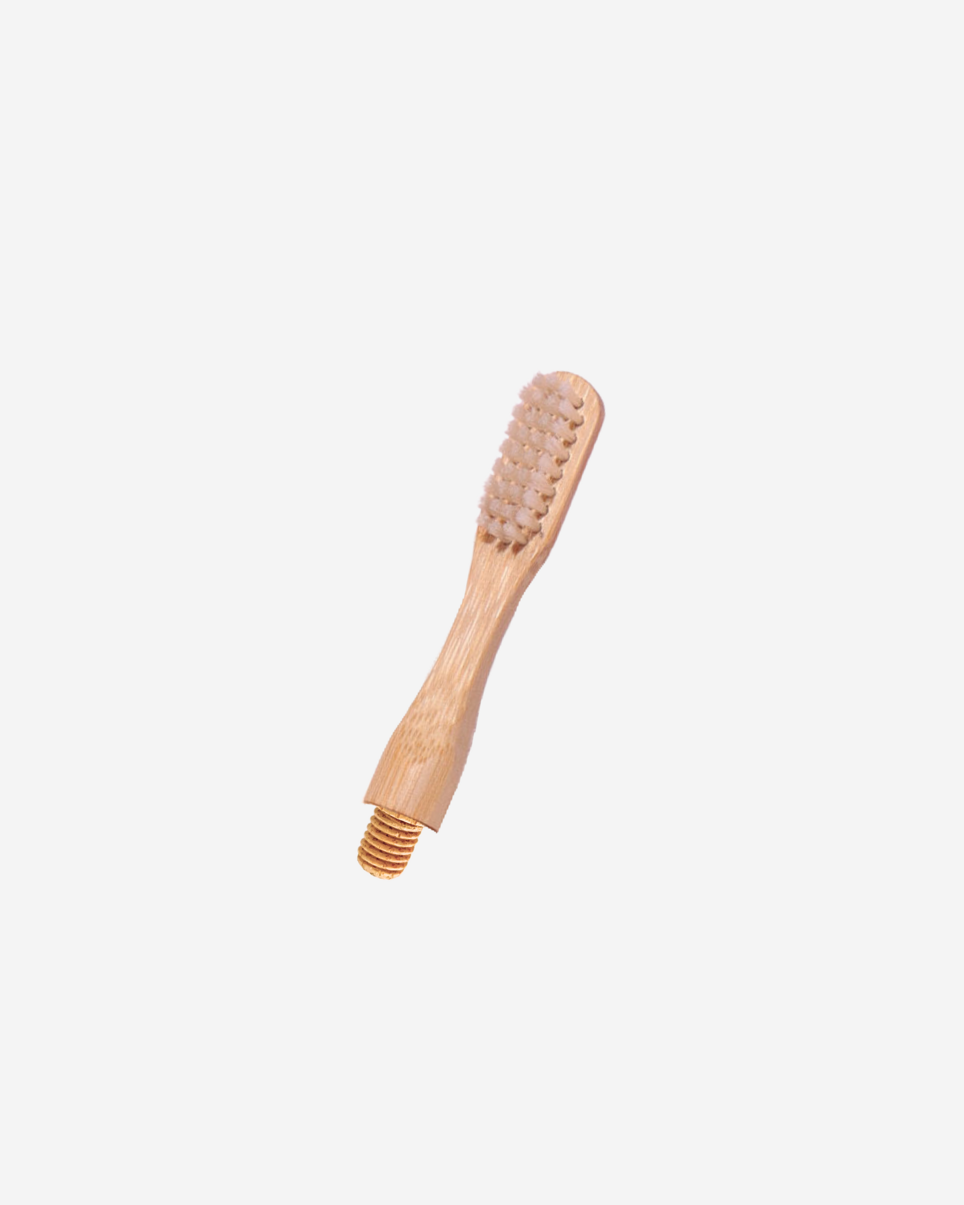 Compostable Toothbrush Head - The Good Company